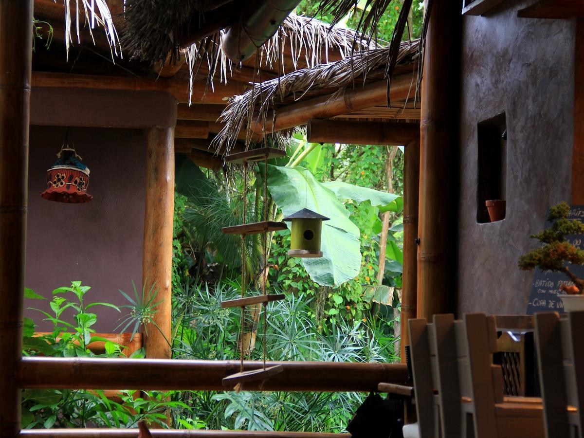 La Bicok Ecolodge Mindo Ngoại thất bức ảnh