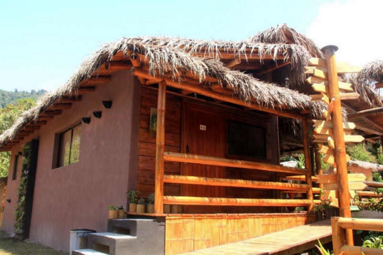 La Bicok Ecolodge Mindo Ngoại thất bức ảnh